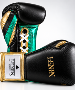 Alternative view of Lenin Boxing Élite Champion