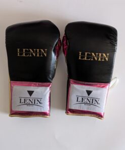 Lenin Boxing Élite Titán Series