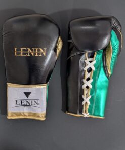 Alternative view of Lenin Boxing Élite Champion